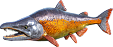 Саблезубый лосось