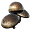 Сытный гриб